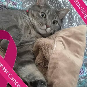 Meet your Posher, Eva